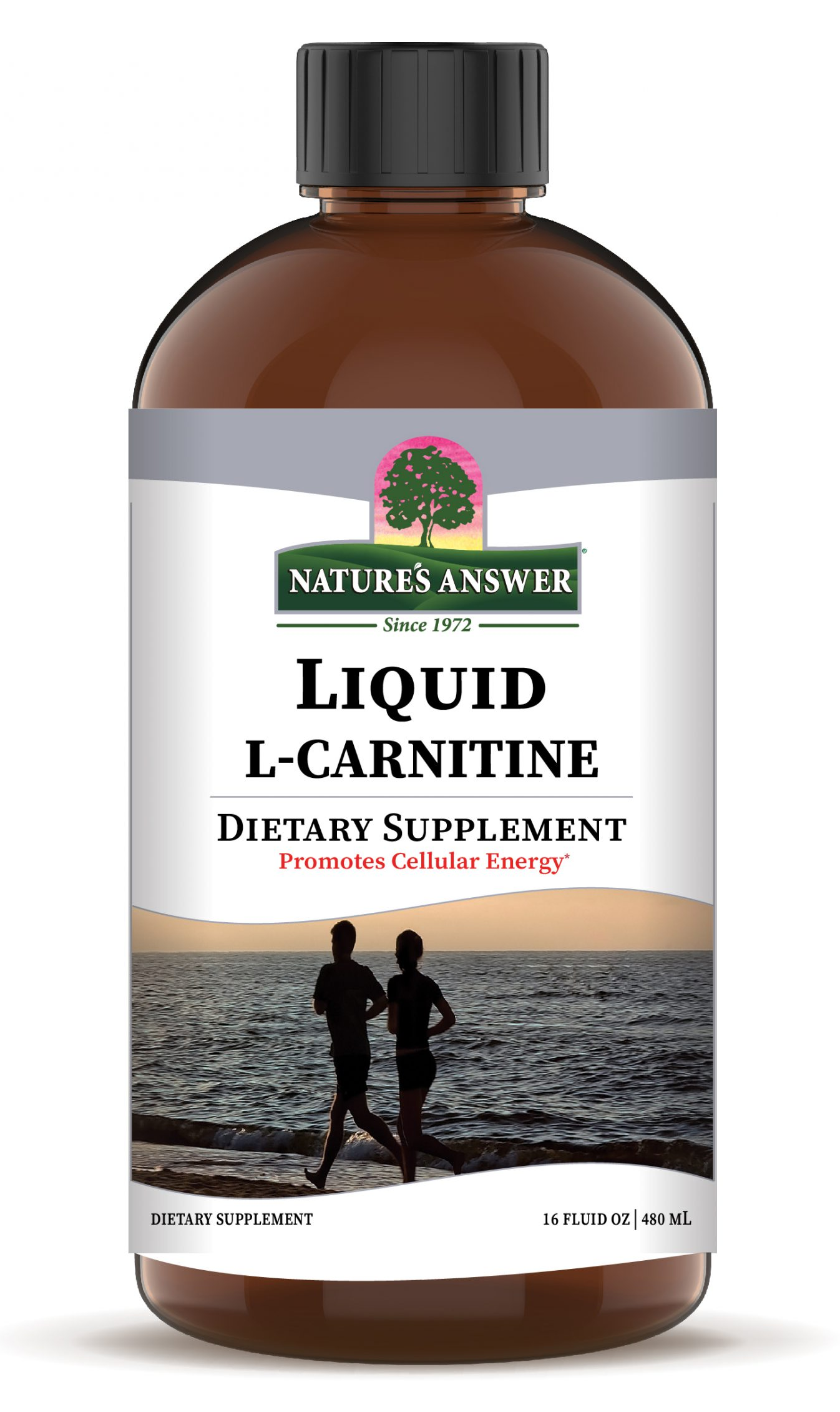 Liquid L-Carnitine